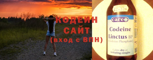соль ск Пересвет